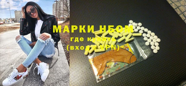 индика Алексин
