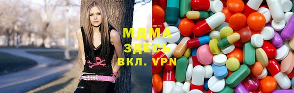 индика Алексин