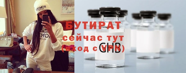 индика Алексин