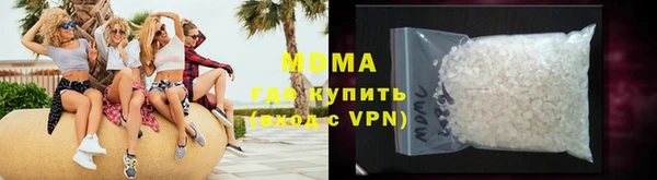 индика Алексин