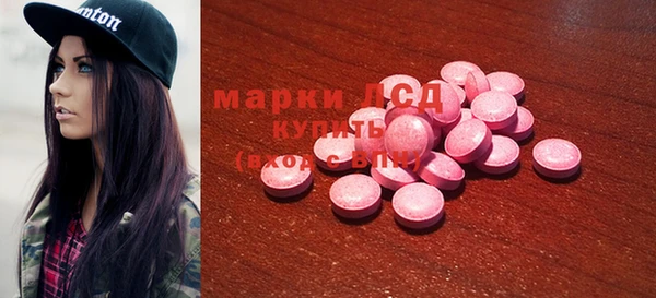 индика Алексин