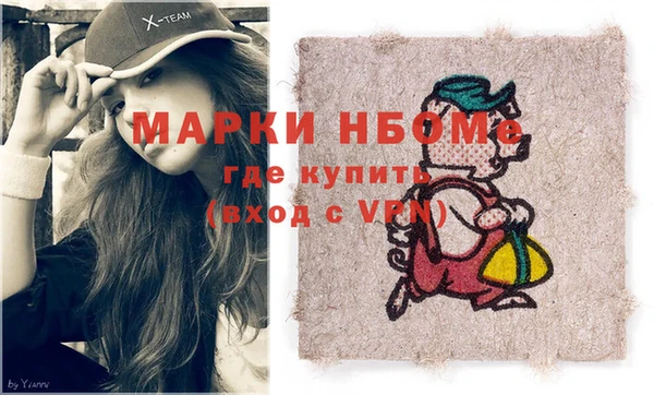 индика Алексин
