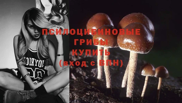 гидропоника Алексеевка