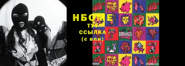 индика Алексин