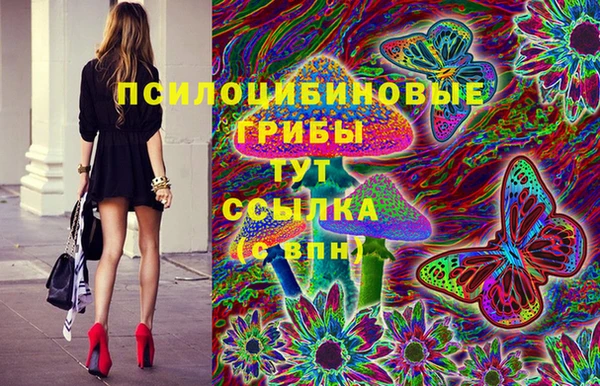 гидропоника Алексеевка