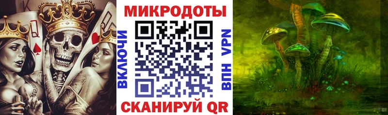 Галлюциногенные грибы Psilocybe Минусинск